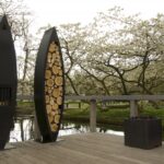 Zeno Canoa - Afbeelding 5