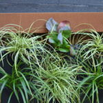 Zeno Green Divider 1450X380 - Afbeelding 2