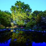 Garten licht Profi-spot - Afbeelding 8