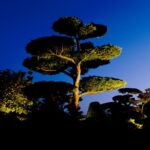 Garten licht Profi-spot