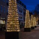 Zeno plantenbakken - Afbeelding 12